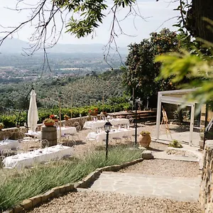 agriturismo-i-millepini.it-tuscanyhotel.com/